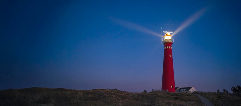 Supporting Nonprofits Where They Work: Local Capacity Advisors in Action