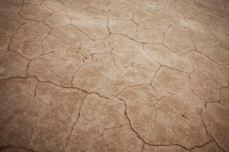 The Cracks Are Showing: A Candid Look at Capacity in the Social Sector